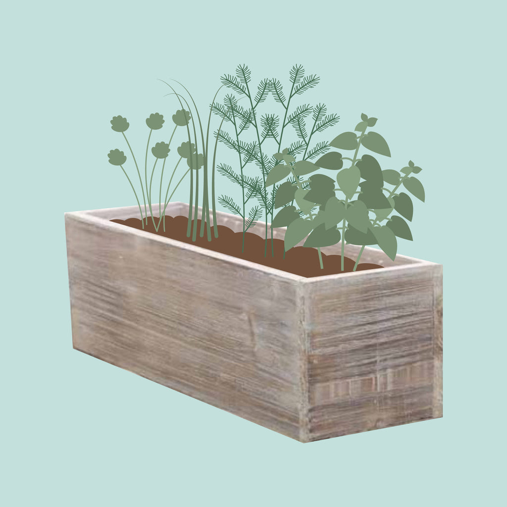 Herb Box